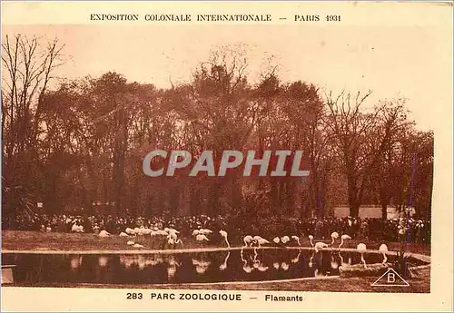 Cartes postales Paris Exposition Coloniale Internationale Parc Zoologique Flamants