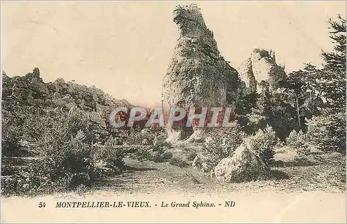 Cartes postales Montpellier le Vieux Le Grand Sphinx