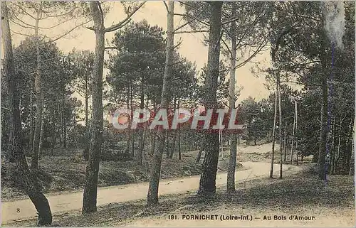 Cartes postales Pornichet (Loire Inf) Au Bois d'Amour