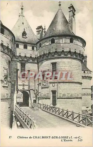 Cartes postales Chateau de Chaumont sur Loire (L et C) L'Entree