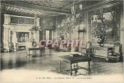 Cartes postales Pau Le Chateau Henri IV Le Grand Salon
