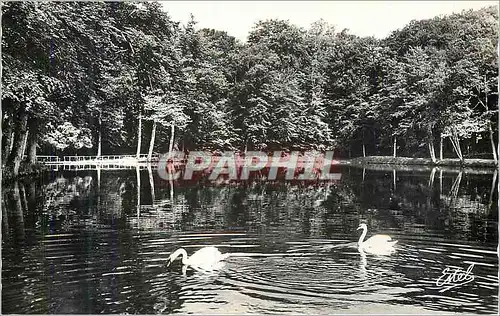 Cartes postales moderne Le Pin la Garenne (orne) Foret de Belleme Etang de la Herse Cygnes