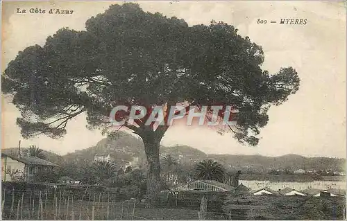 Cartes postales Hyeres La Cote d'Azur