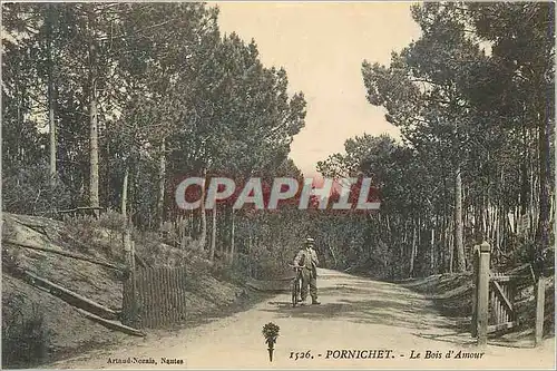 Cartes postales Pornichet Le Bois d'Amour