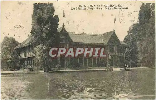 Cartes postales Bois de Vincennes La Maison Forestiere et le Lac Daumesnil Cygnes