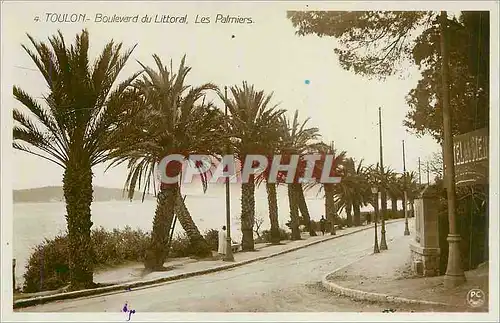 Cartes postales moderne Toulon Boulevard du Littoral Les Palmiers