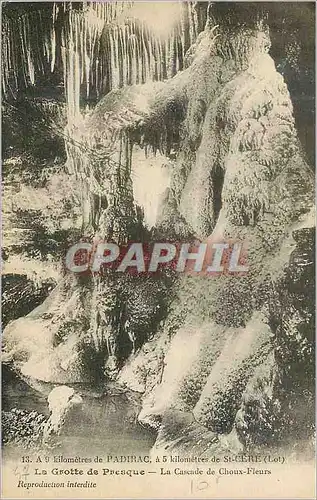 Cartes postales La Grotte de Presque La Cascade de Choux Fleurs A 9 Km de Padirac A 5 Km de St Cere (Lot)