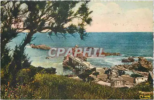 Cartes postales Biarritz Le Rocher de la Vierge a Travers les Tumaris