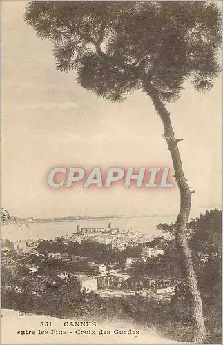 Cartes postales Cannes entre les Pins Croix des Gardes