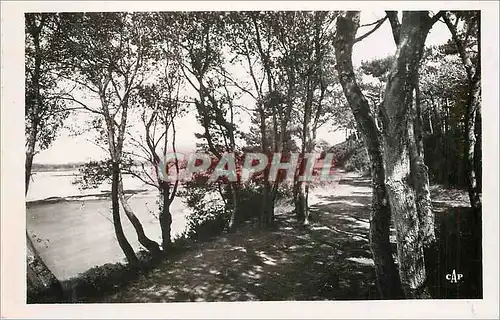 Cartes postales moderne Saint Brevin Baie du Pointeau