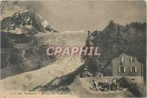 Ansichtskarte AK Chamonix Glacier des Bossons Ane Donkey