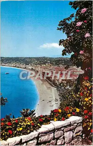 Moderne Karte Nice Vue Generale prise du Chateau