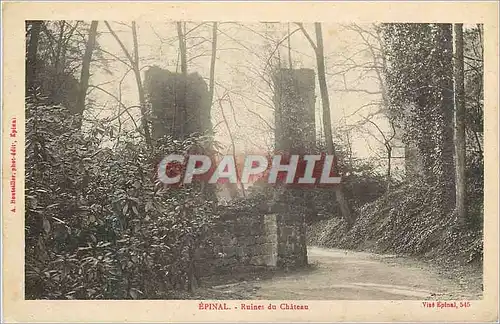 Cartes postales Epinal Ruines du Chateau