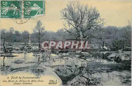 Cartes postales Foret de Fontainebleau Les Mores du Plateau de Belle Croix