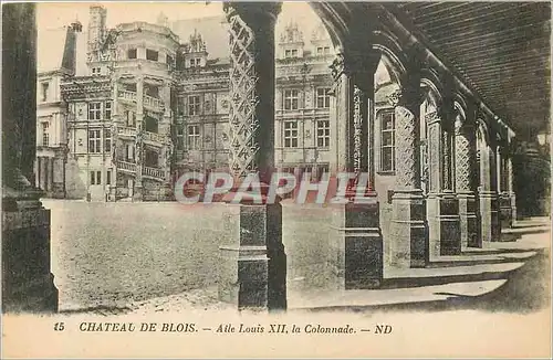 Ansichtskarte AK Chateau de Blois Aile Louis XII La Colonnade