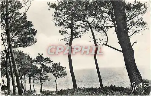 Cartes postales moderne Saint Marguerite Pornichet Vue sur la Mer entre les Pins