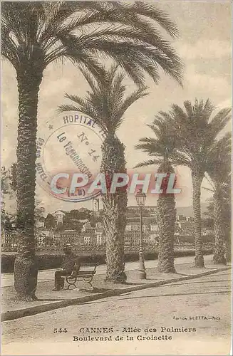 Ansichtskarte AK Cannes Allee des Palmiers Boulevard de la Croisette