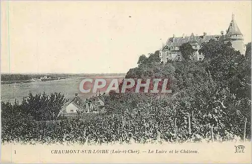 Cartes postales Chaumont sur Loire (Loir et Cher) La Loire et le Chateau