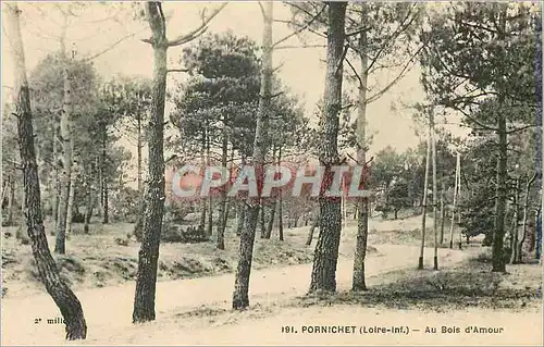 Ansichtskarte AK Pornichet (Loire inf) au Bois d'Amour
