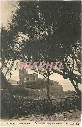 Cartes postales Biarritz (Cote Basque) le Chateau Basque a Travers les Tamaris