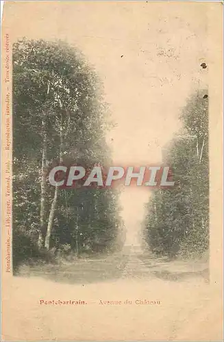 Cartes postales Pontchartrain Avenue du Chateau