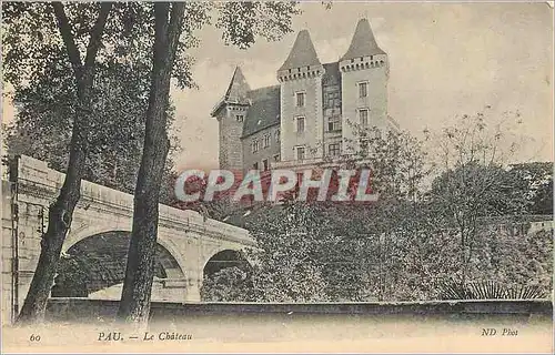 Cartes postales Pau le Chateau