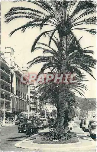 Cartes postales Nice le Palais de la Mediterranee Automobiles