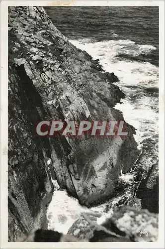 Cartes postales moderne Bretagne Pointe du Raz la Douce France