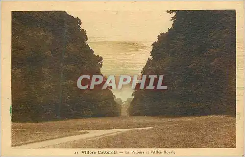 Cartes postales Villers Cotterets la Pelouse et l'Allee Royale