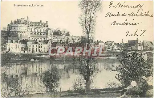 Cartes postales Amboise Panorama