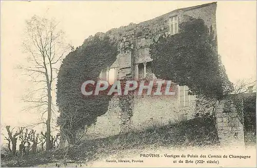 Cartes postales Provins Vestiges du Palais des Comtes de Champagne et de Brie