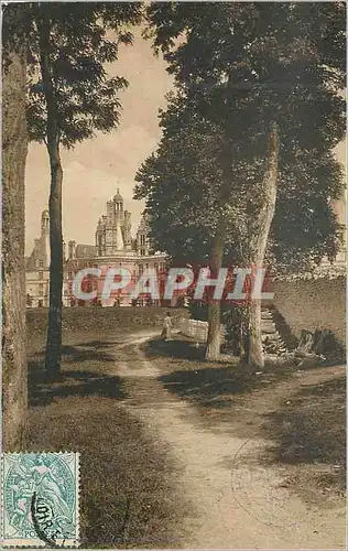 Cartes postales Chambord le Chateau a Travers les Arbres