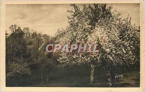 Cartes postales Normandie la Douce France Bocage normand pres de la Vire