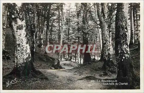 Moderne Karte La Bourboule Sous Bois du Chalet