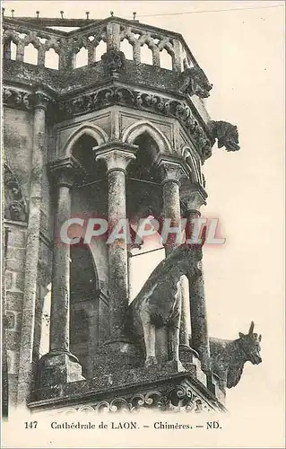 Ansichtskarte AK Cathedrale de Laon Chimeres Chevre