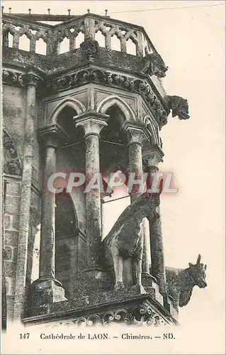 Cartes postales Cathedrale de Laon Chimeres Chevre