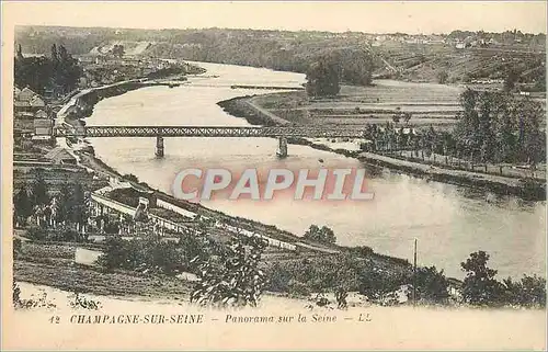 Cartes postales Champagne sur Seine Panorama sur la Seine