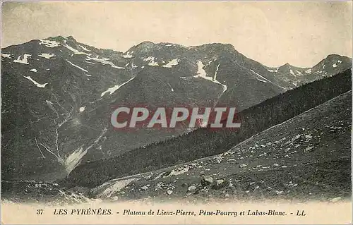 Ansichtskarte AK Les Pyrenees Plateau de Lienz Pierre Pene Pourry et Labas Blanc