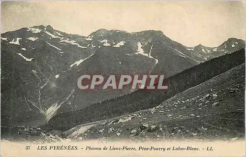 Cartes postales Les Pyrenees Plateau de Lienz Pierre Pene Pourry et Labas Blanc
