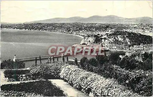 Cartes postales moderne Nice Vue Generale