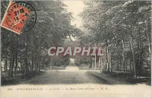 Cartes postales Fontainebleau La Foret La Route Louis Philippe