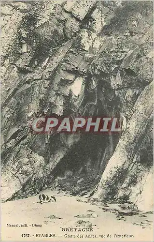 Cartes postales Etables Bretagnes Grotte des Anges vue de l'Exterieur Chien