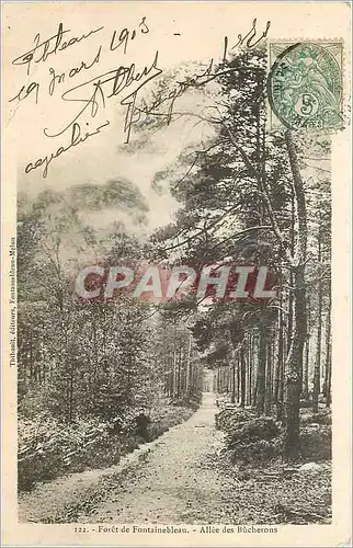 Cartes postales Foret de Fontainebleau Allee des Bucherons