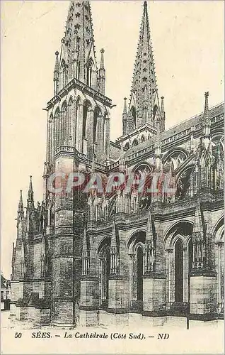 Cartes postales Sees La Cathedrale (Cote Sud)