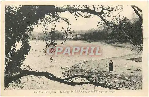 Ansichtskarte AK Foret de Paimpont L'Etang du Perray pres l'Etang des Forges