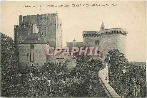 Cartes postales Loches Donjon et tour Louis XI (XIe et XVe Siecles)
