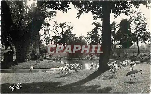 Moderne Karte Vichy L'Auvergne Un Coin du Parc