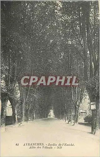 Cartes postales Avranches Jardin de l'Eveche Allee des Tilleuls