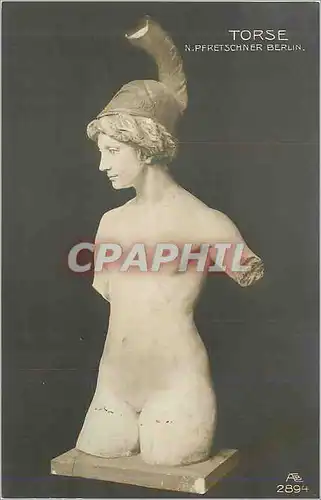 Cartes postales Torse N Pfrestschner Berlin