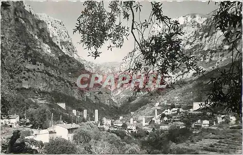Cartes postales moderne Excursion des Gorges du Loup Vue Generale du Pont du Loup